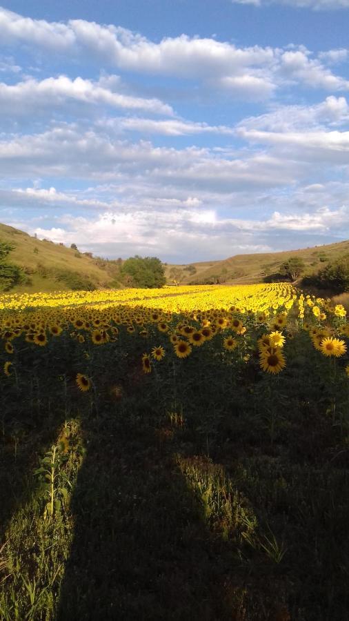 Ma Caravane Dans Les Collines Villeneuve-la-Comptal 외부 사진