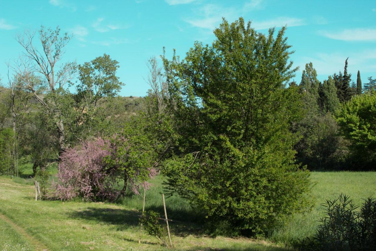 Ma Caravane Dans Les Collines Villeneuve-la-Comptal 외부 사진
