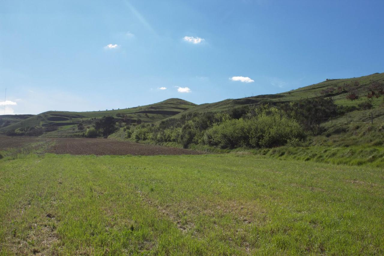 Ma Caravane Dans Les Collines Villeneuve-la-Comptal 외부 사진